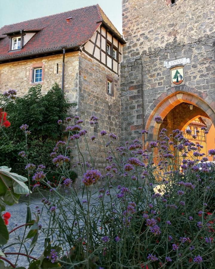 Vila Le Cocon Du Potier Dambach Exteriér fotografie